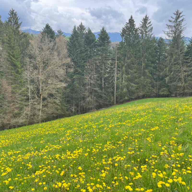 🇨🇭Hoschi post 3