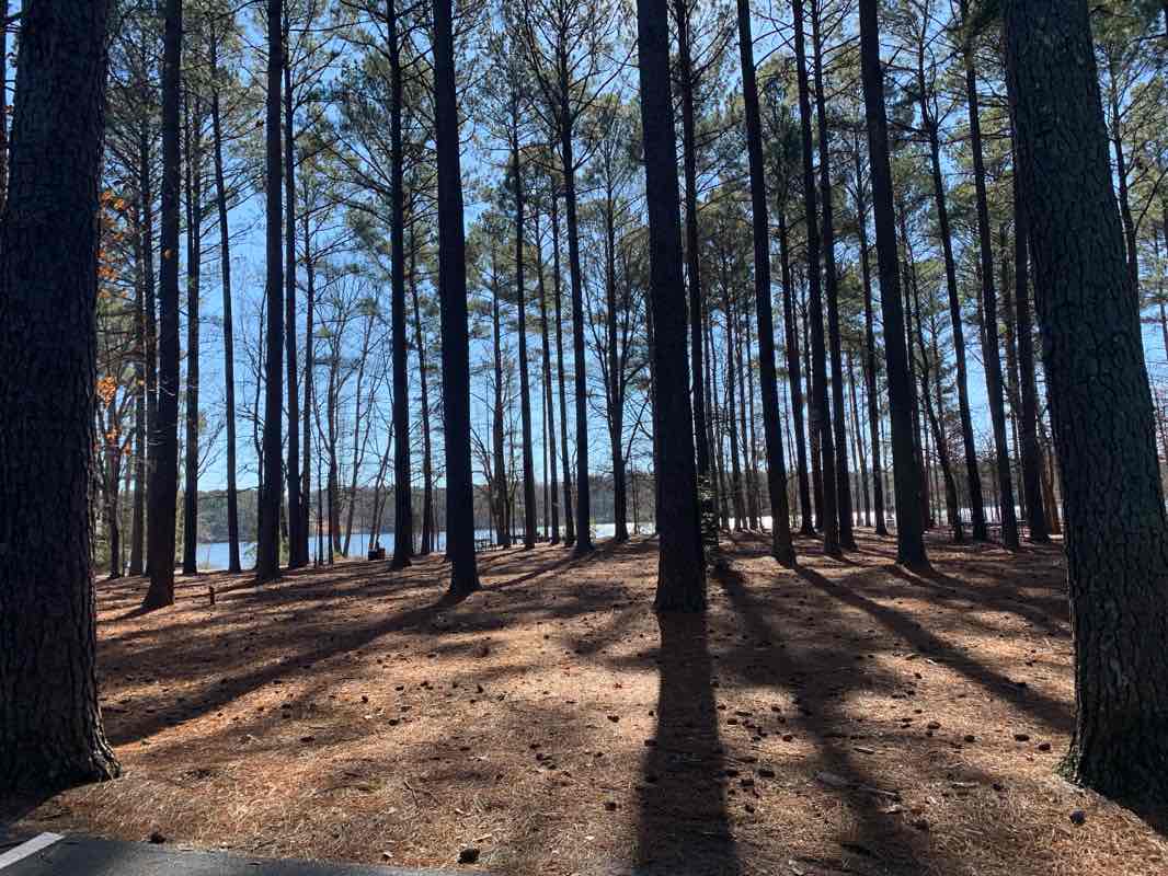 walking near me in Harris Lake County Park in winter