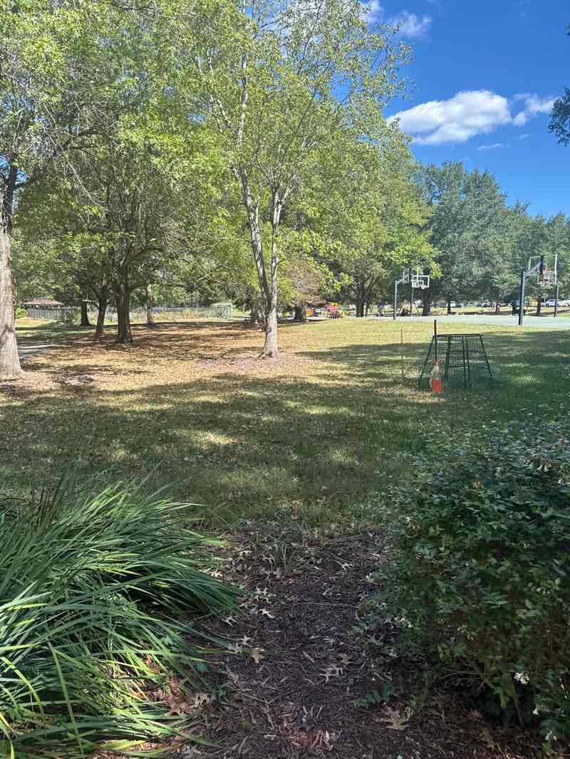 walking near me in Community Center Park in autumn