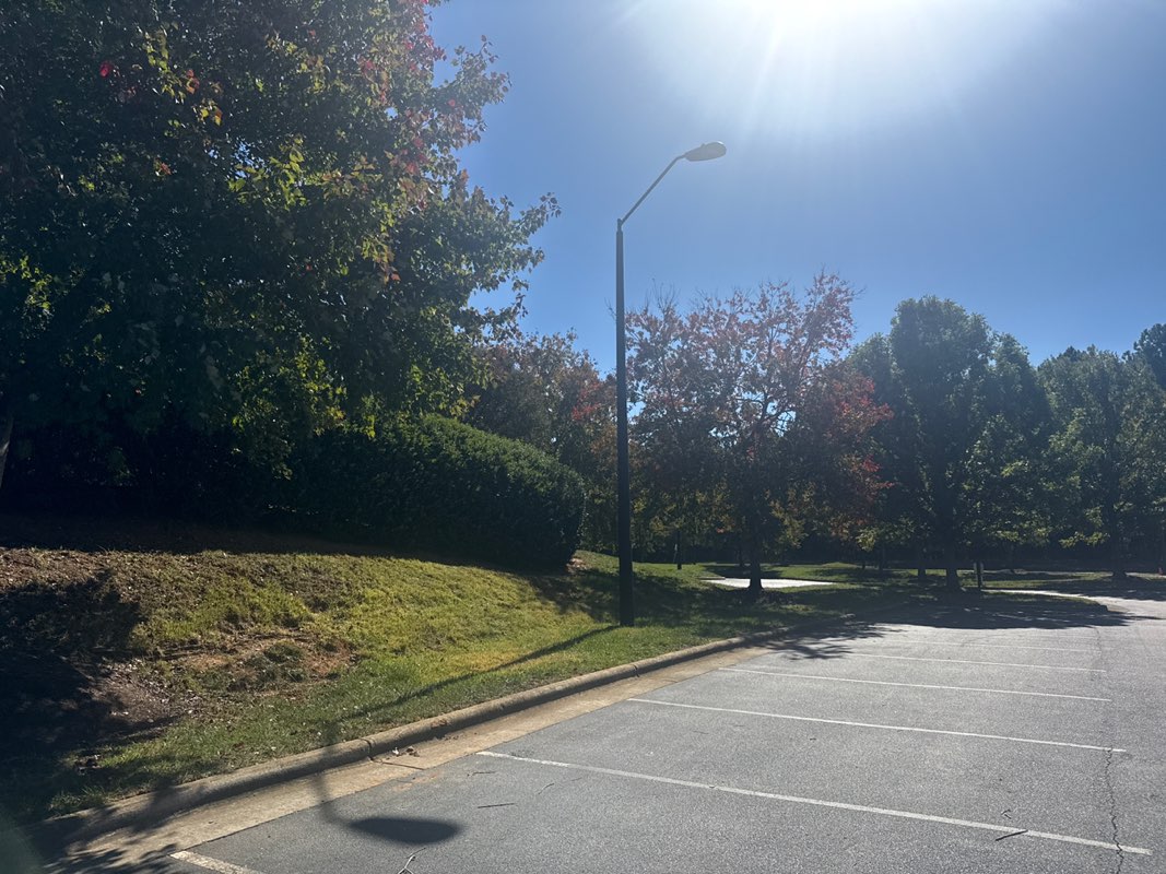 walking near me in Renaissance Park in autumn