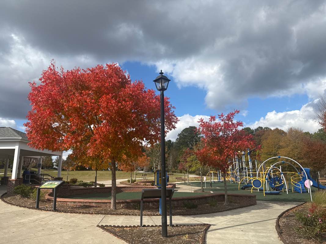 walking near me in Northwest Park in autumn