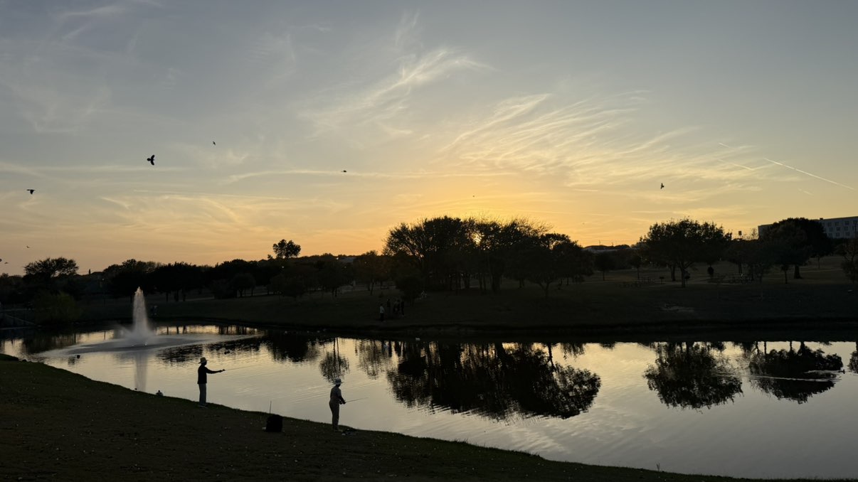 walking near me in Carl Levin Park in winter