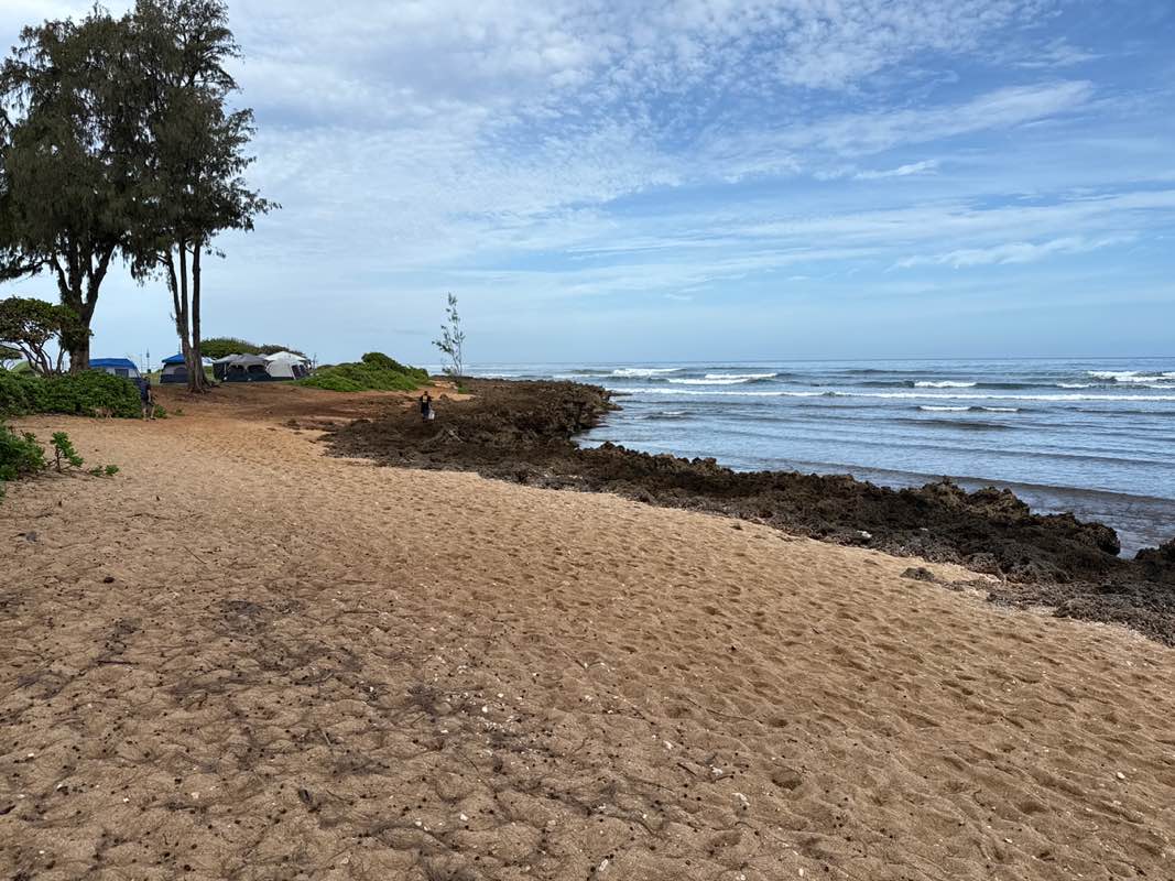 walking near me in Kaiaka Bay Beach Park in spring