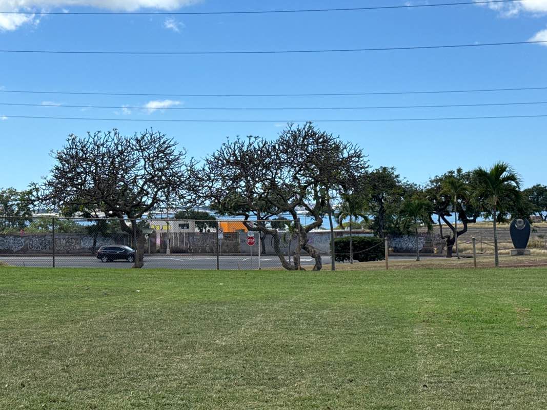 walking near me in Pearlridge Community Park in spring