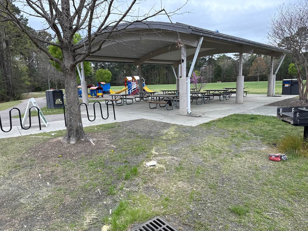 walking near me in Brier Creek Park in spring