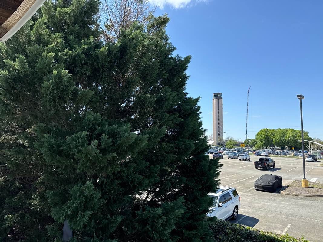 walking near me in Observation Park in spring