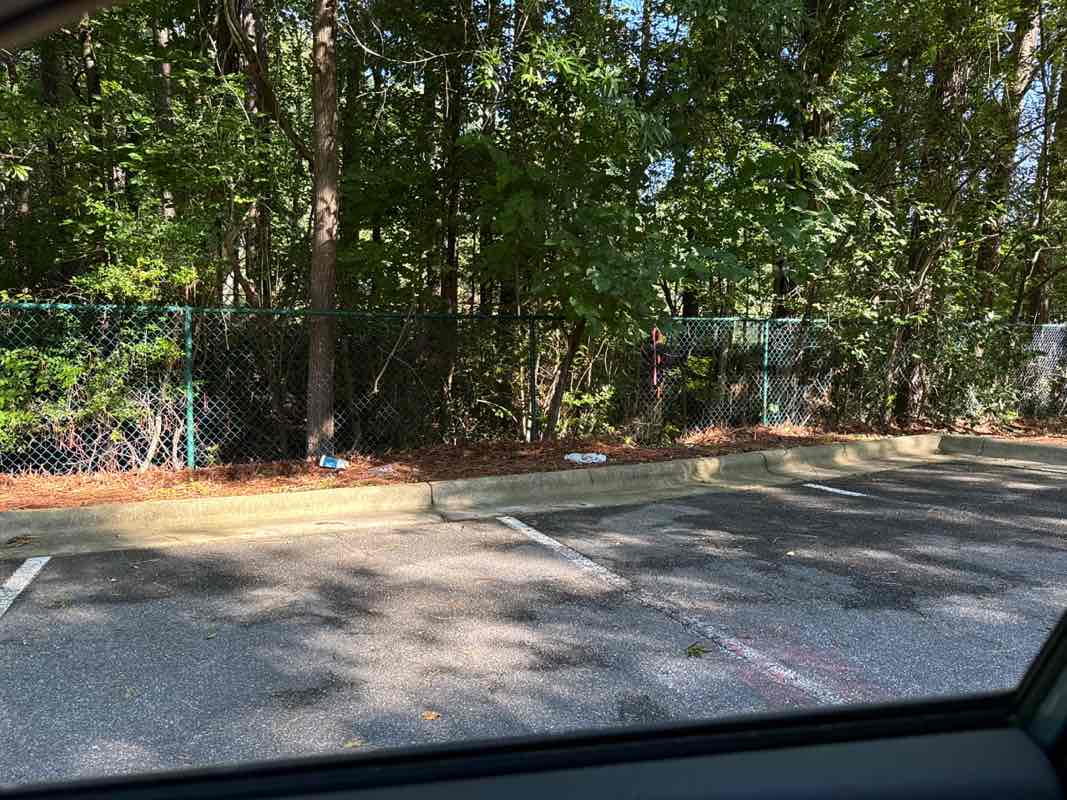 walking near me in Belmont Lake in summer