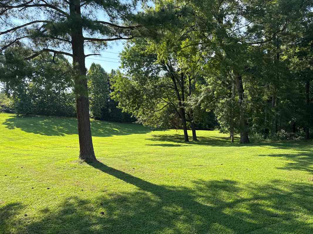 walking near me in Tyler Run Park in autumn