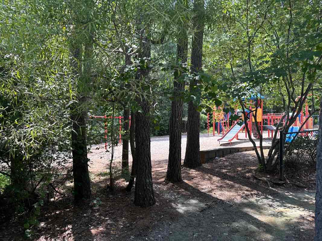 walking near me in Twin Lakes Park in autumn