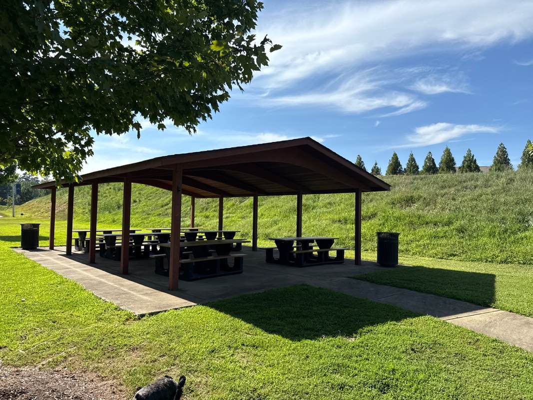 walking near me in Alston Ridge Park in autumn