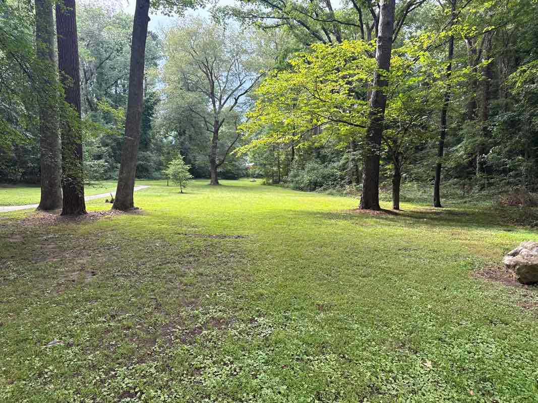 walking near me in Rockwood Park in autumn
