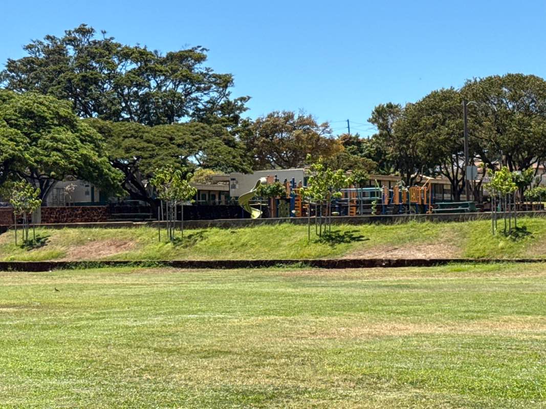 walking near me in Petrie Community Park in autumn