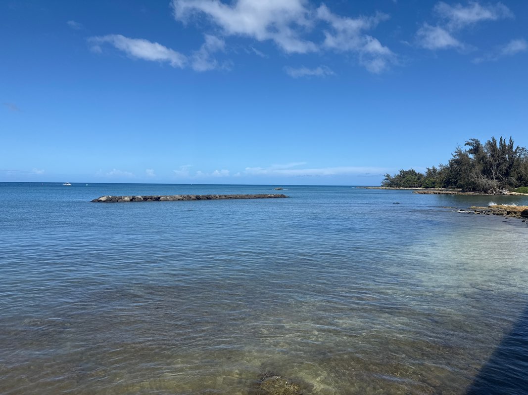 walking near me in Haleiwa Beach Park in autumn