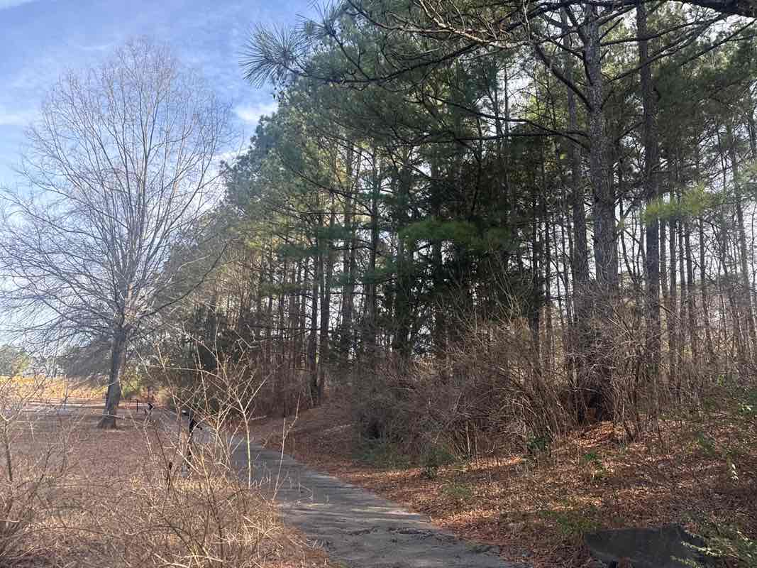 walking near me in Solite Park in winter