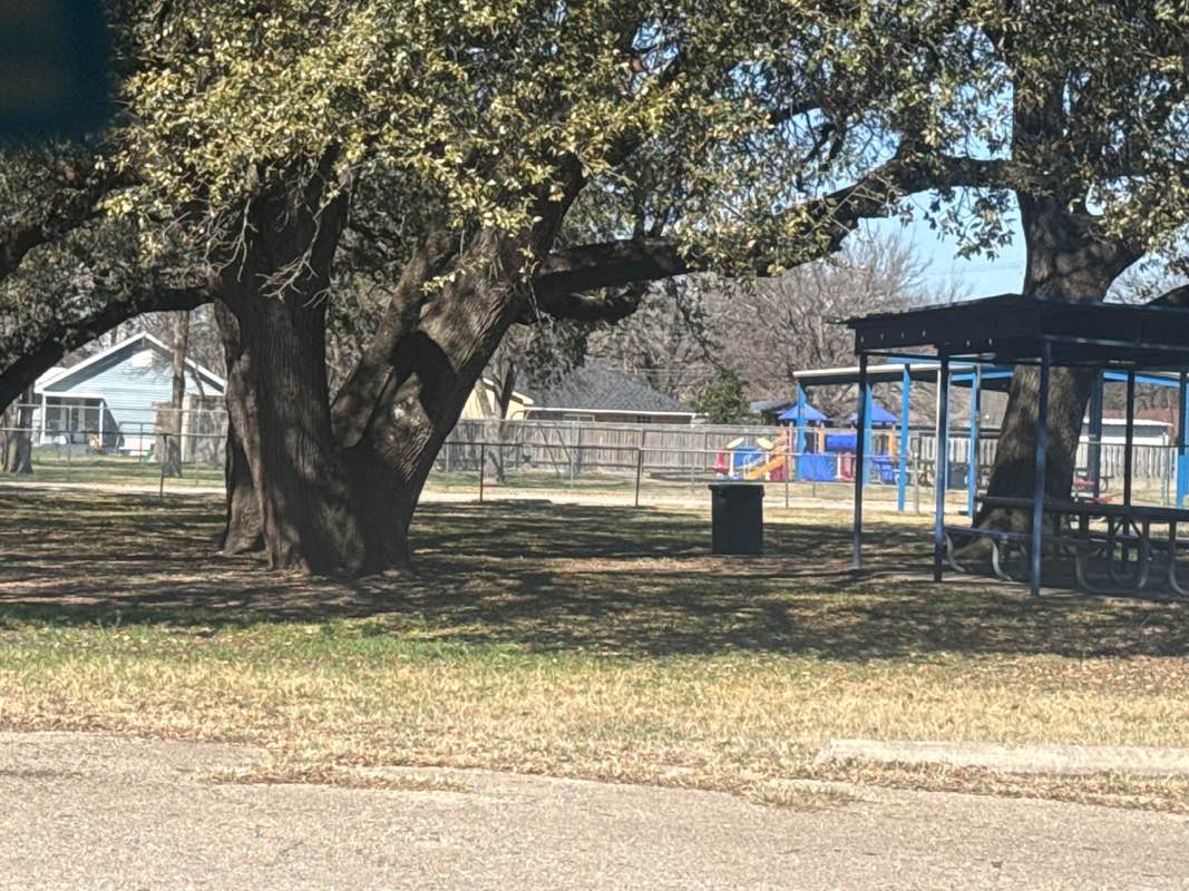 walking near me in Live Oak Park in winter
