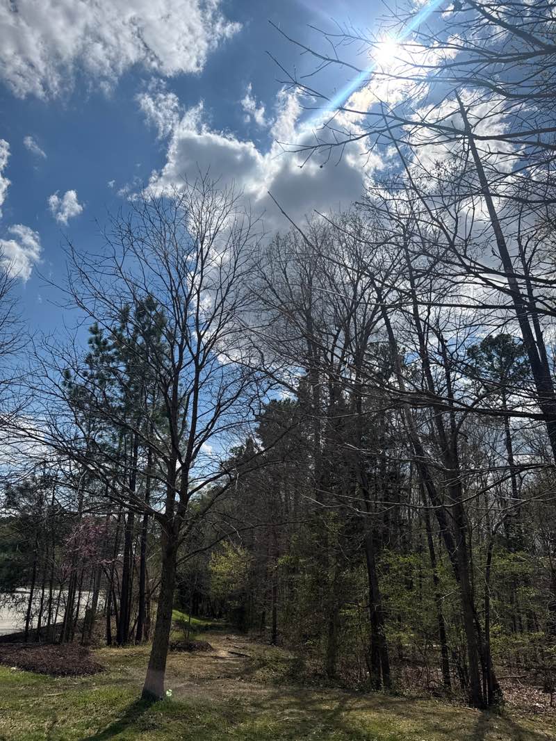 walking near me in C. M. Herndon Park in spring