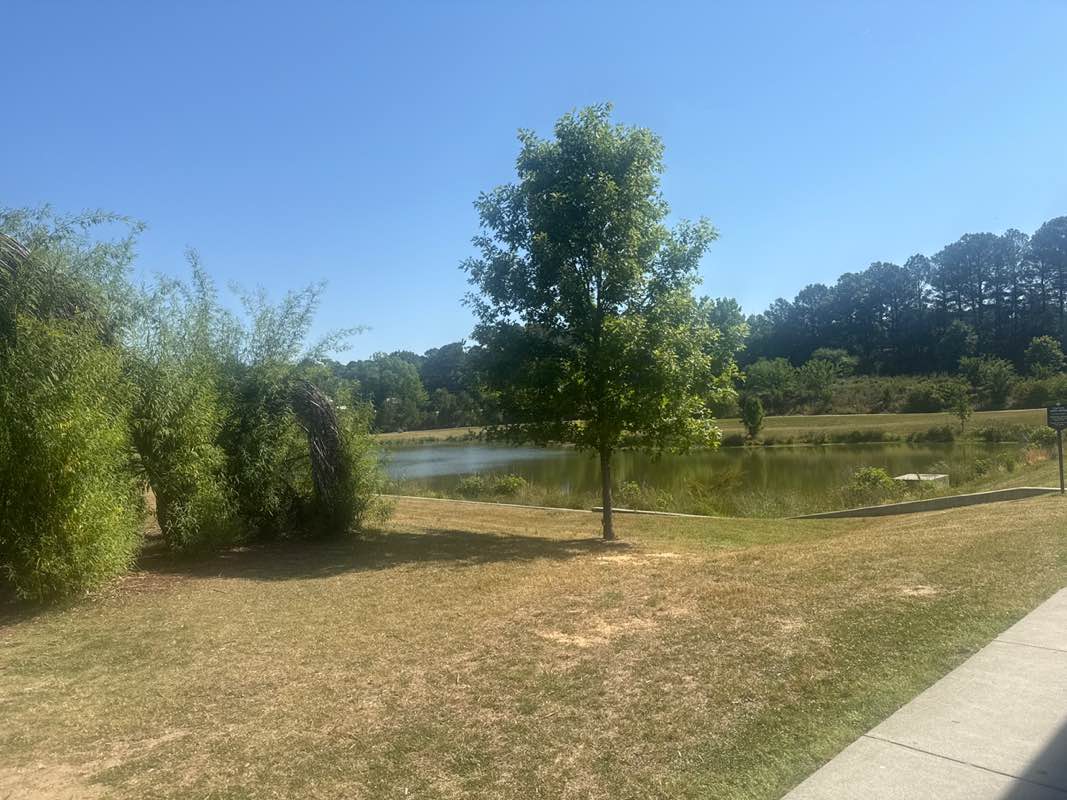 walking near me in Carpenter Park in summer