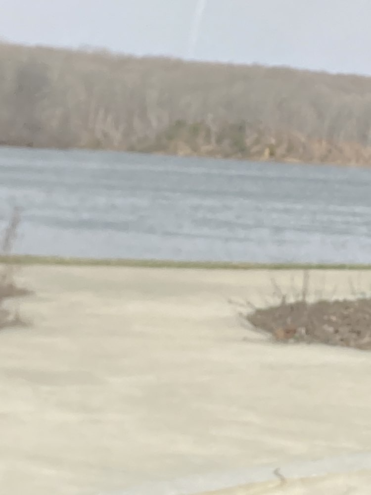 walking near me in Lake Charleston Park in spring