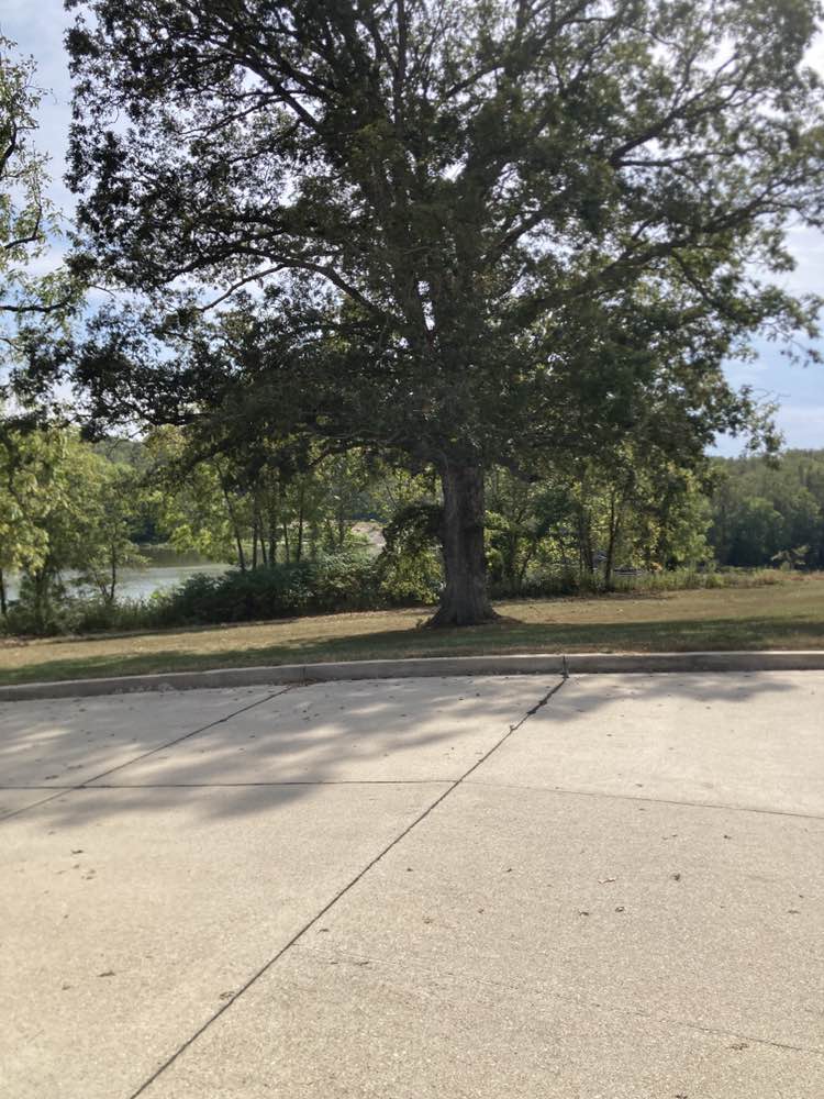 walking near me in Charleston Lake in autumn