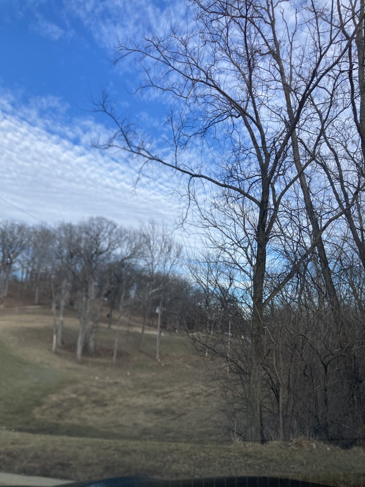 walking near me in Lake Charleston Park in winter