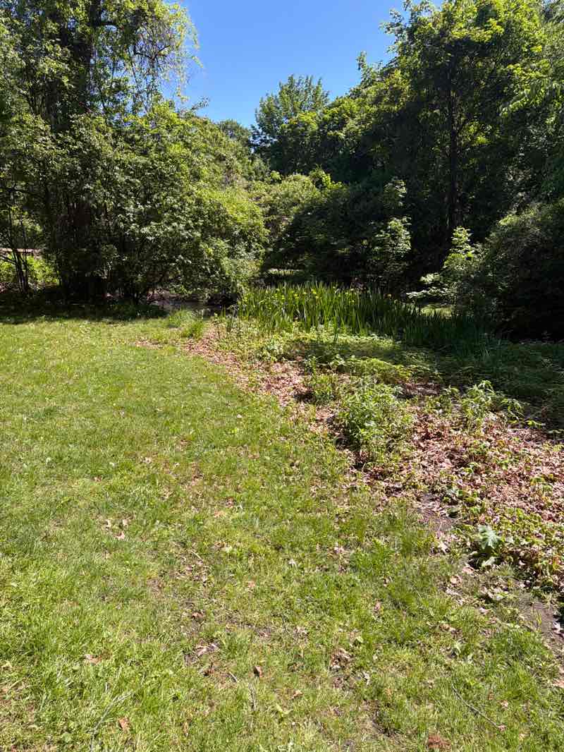 walking near me in Beaver Brook Reservation in summer