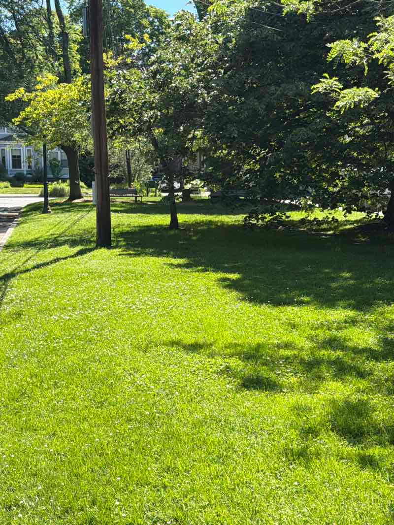 walking near me in Washington Park in summer