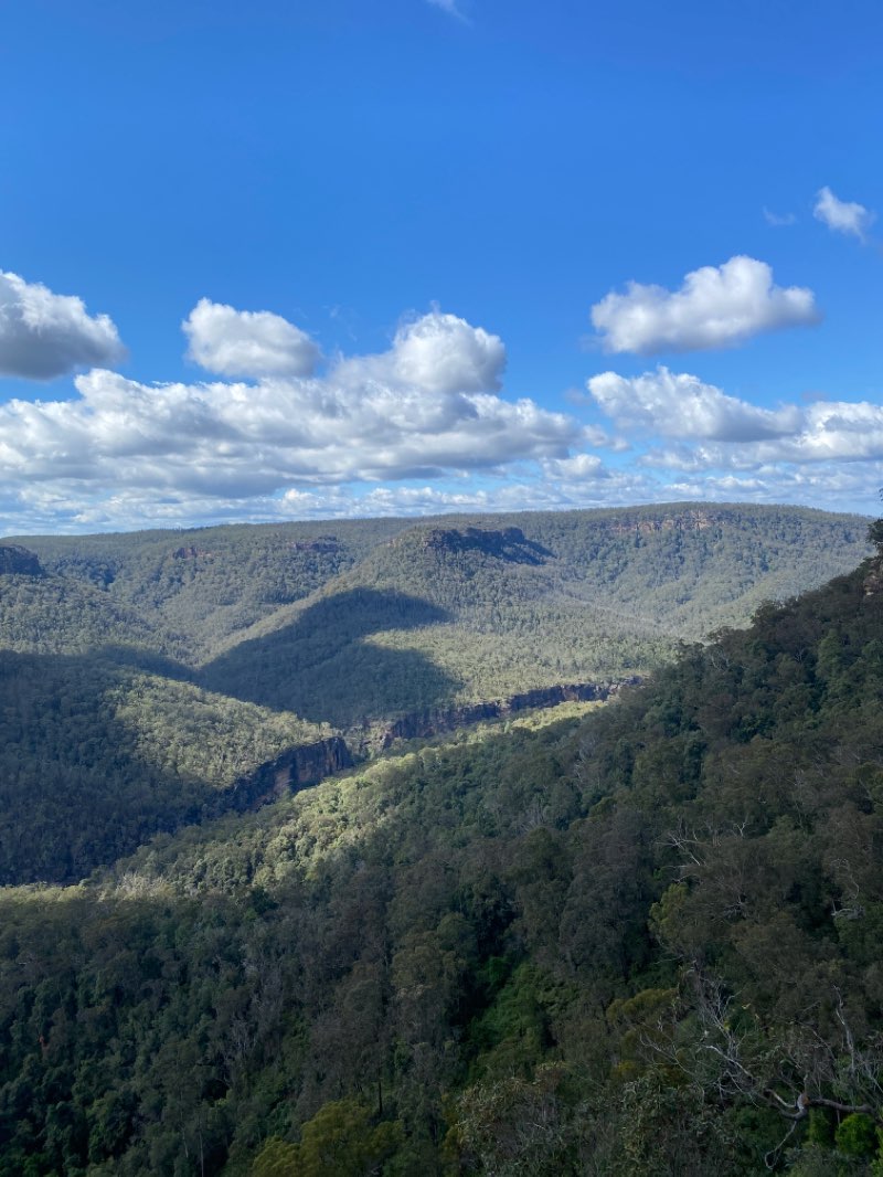 walking near me in Currabunda Wetlands in summer