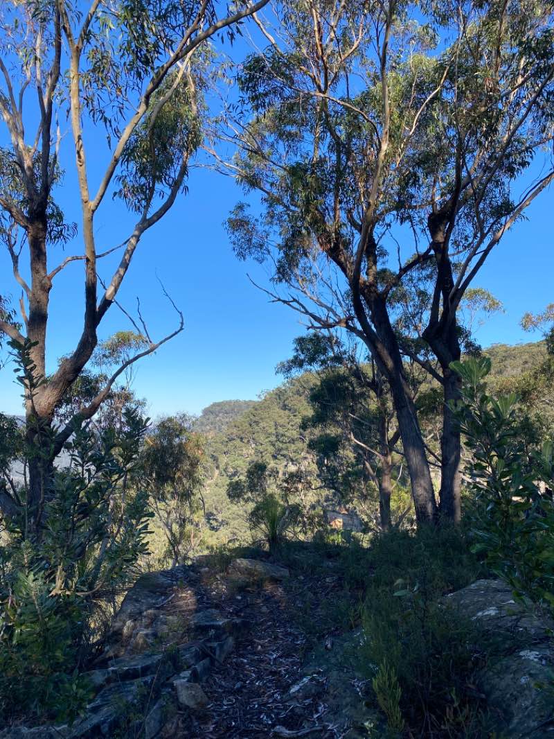 walking near me in Morton National Park in summer