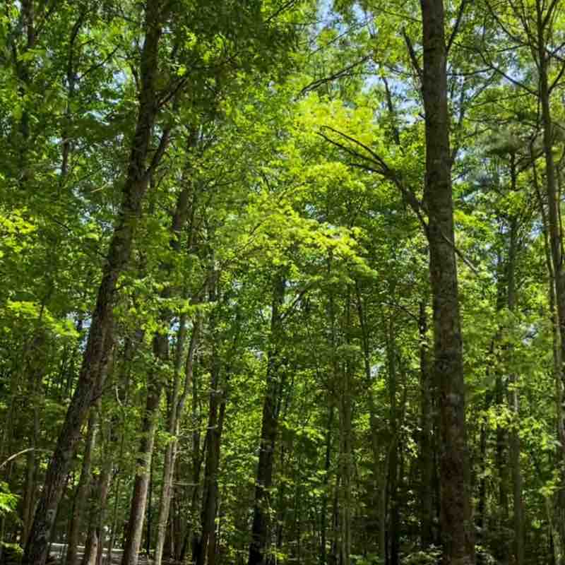 Krishnamurthy 🇮🇳💖😊 post 1