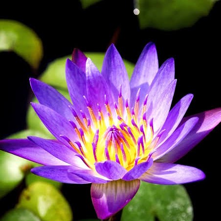 Krishnamurthy 🇮🇳💖😊 post 1