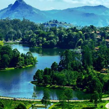 Krishnamurthy 🇮🇳💖😊 post 3