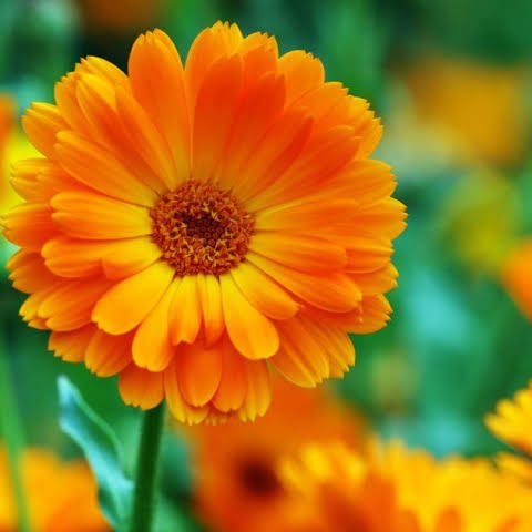 Krishnamurthy 🇮🇳💖😊 post 1