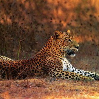 Krishnamurthy 🇮🇳💖😊 post 2