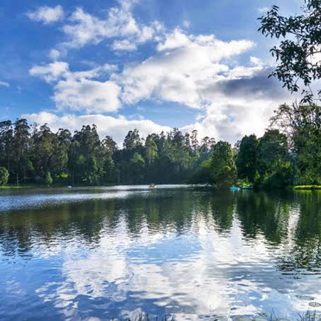 Krishnamurthy 🇮🇳💖😊 post 1