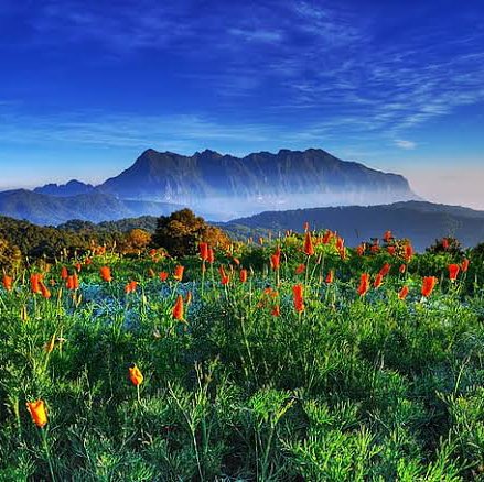 Krishnamurthy 🇮🇳💖😊 post 1