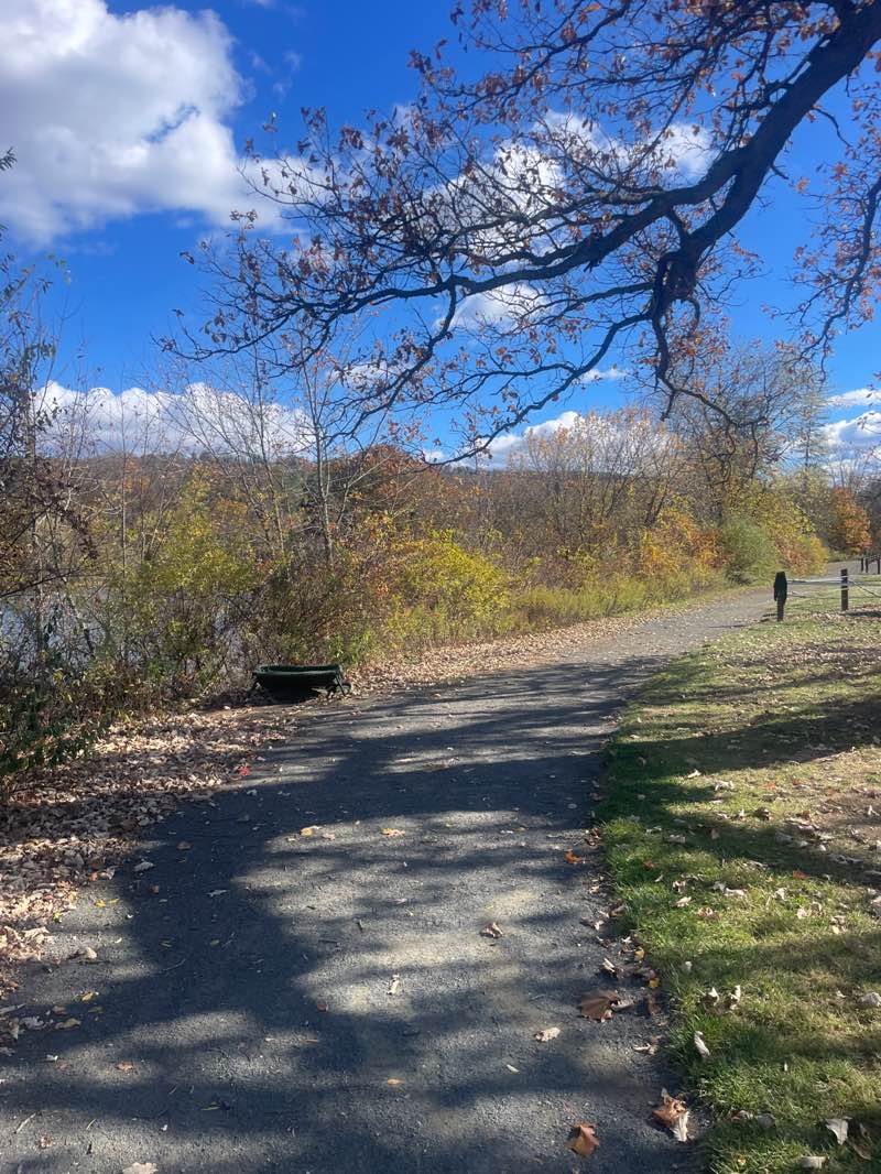 walking near me in Fisher Meadows Recreation Area in autumn