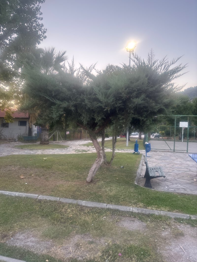 walking near me in Kardeslik Parki in autumn