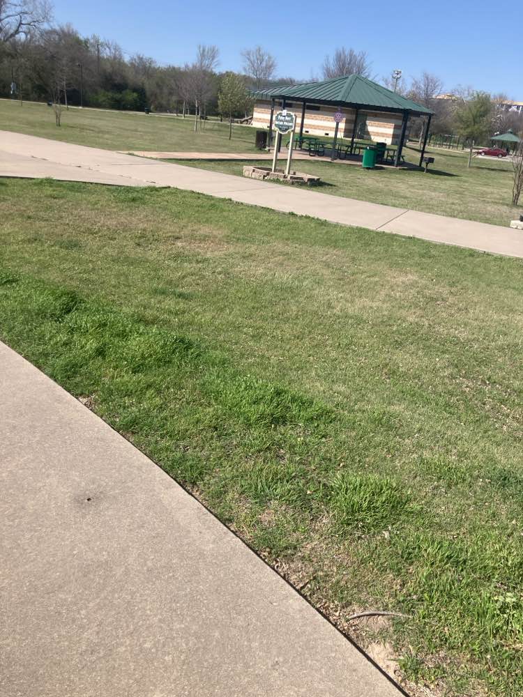 walking near me in Rotary Club Children's Park in spring