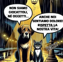 Roberto Abbadini profile