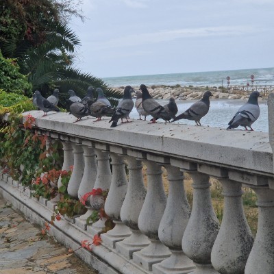 😍BEAUTIFUL NATURE😍 Roberto Abbadini post image