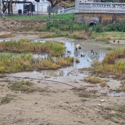 😍BEAUTIFUL NATURE😍 Roberto Abbadini post image