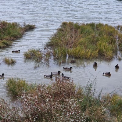 😍BEAUTIFUL NATURE😍 Roberto Abbadini post image