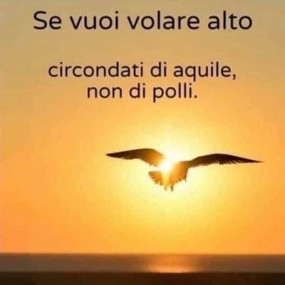 Walk🏃🏾‍♀️Challenge🏆World🕊️ Roberto Abbadini post image