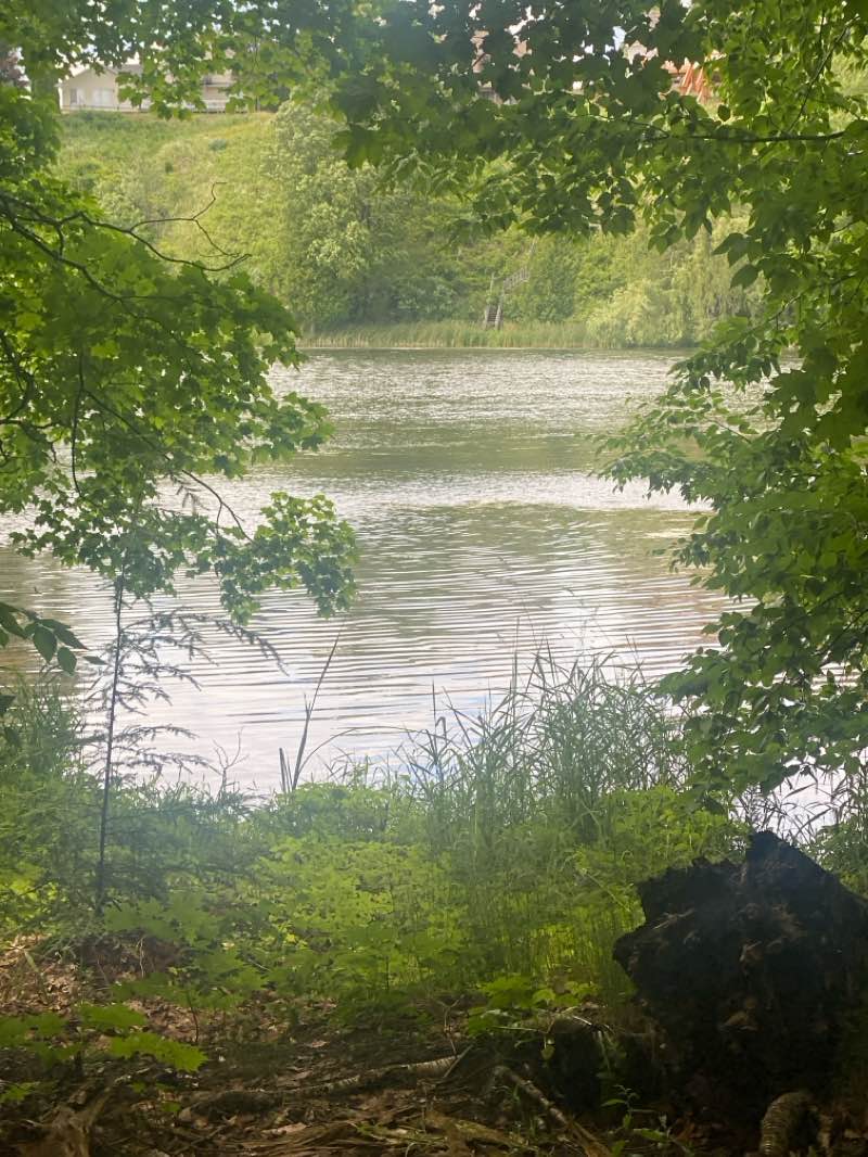 walking near me in John Gurney Park in winter