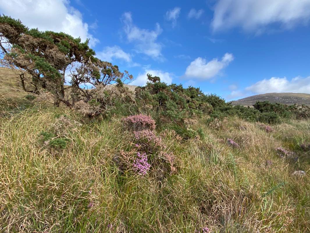 walking near me in Connemara National Park in winter