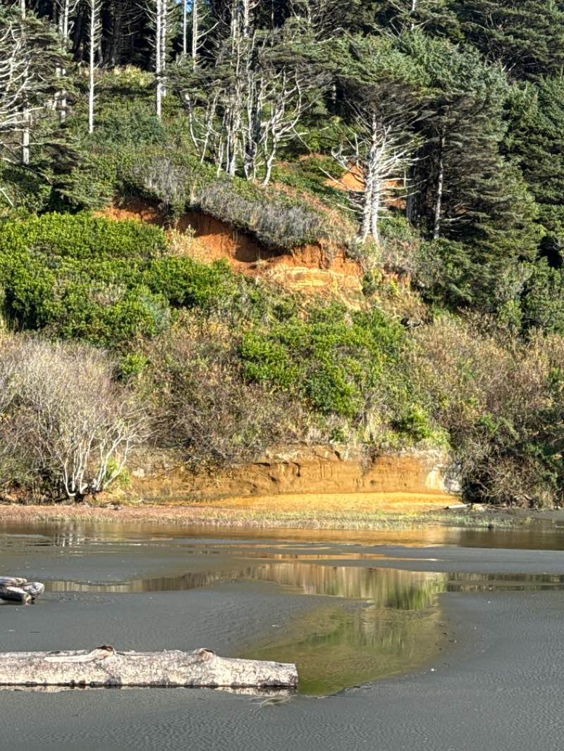 walking near me in Seashore Conservation Area State Park in autumn