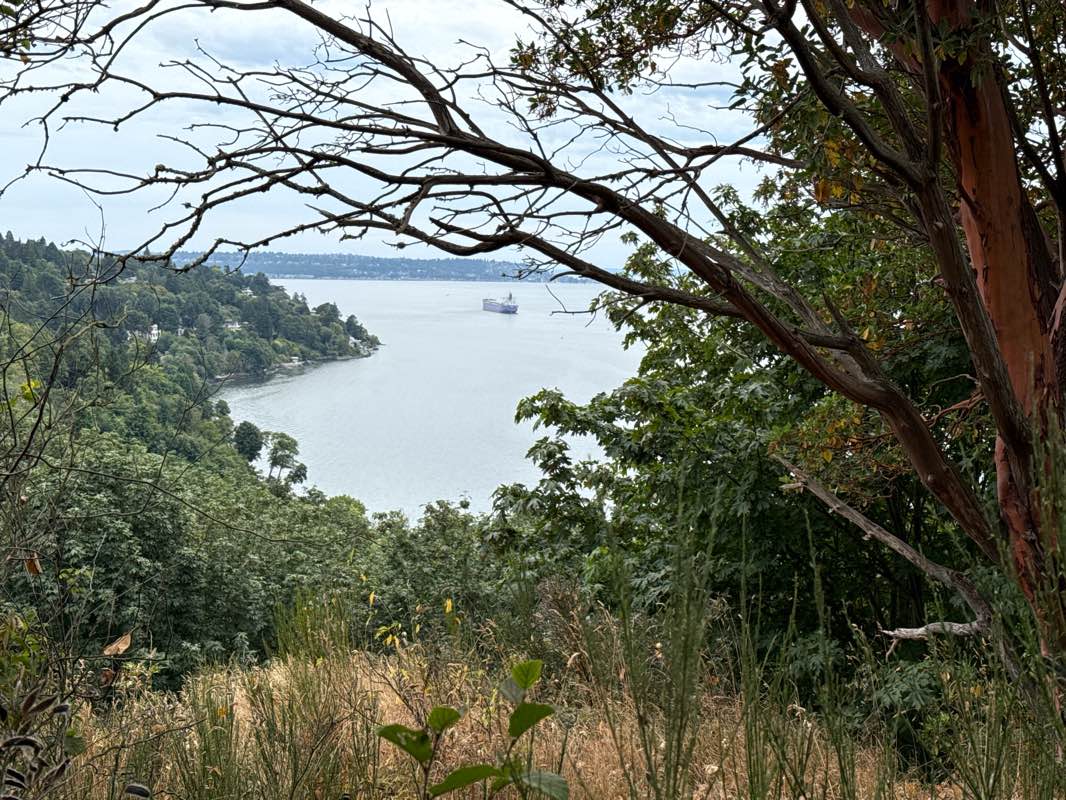 walking near me in Discovery Park in autumn