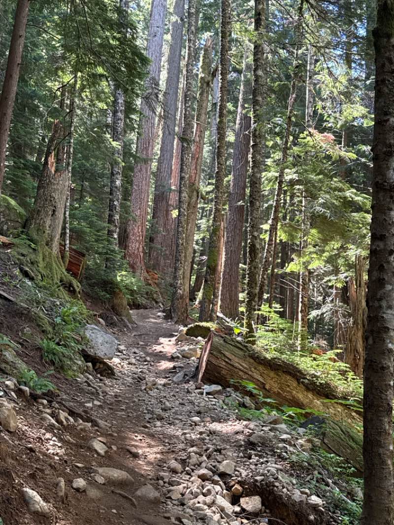 walking near me in Palouse to Cascades State Park in summer