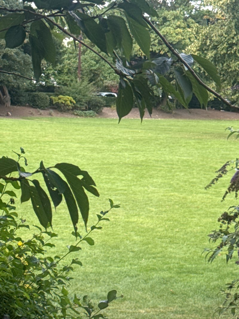 walking near me in Longford Park in autumn