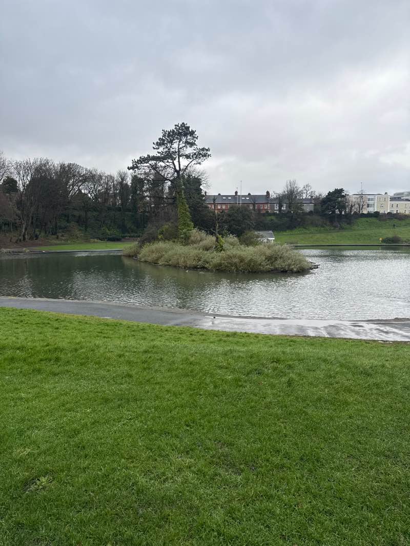 walking near me in Blackrock Park in winter
